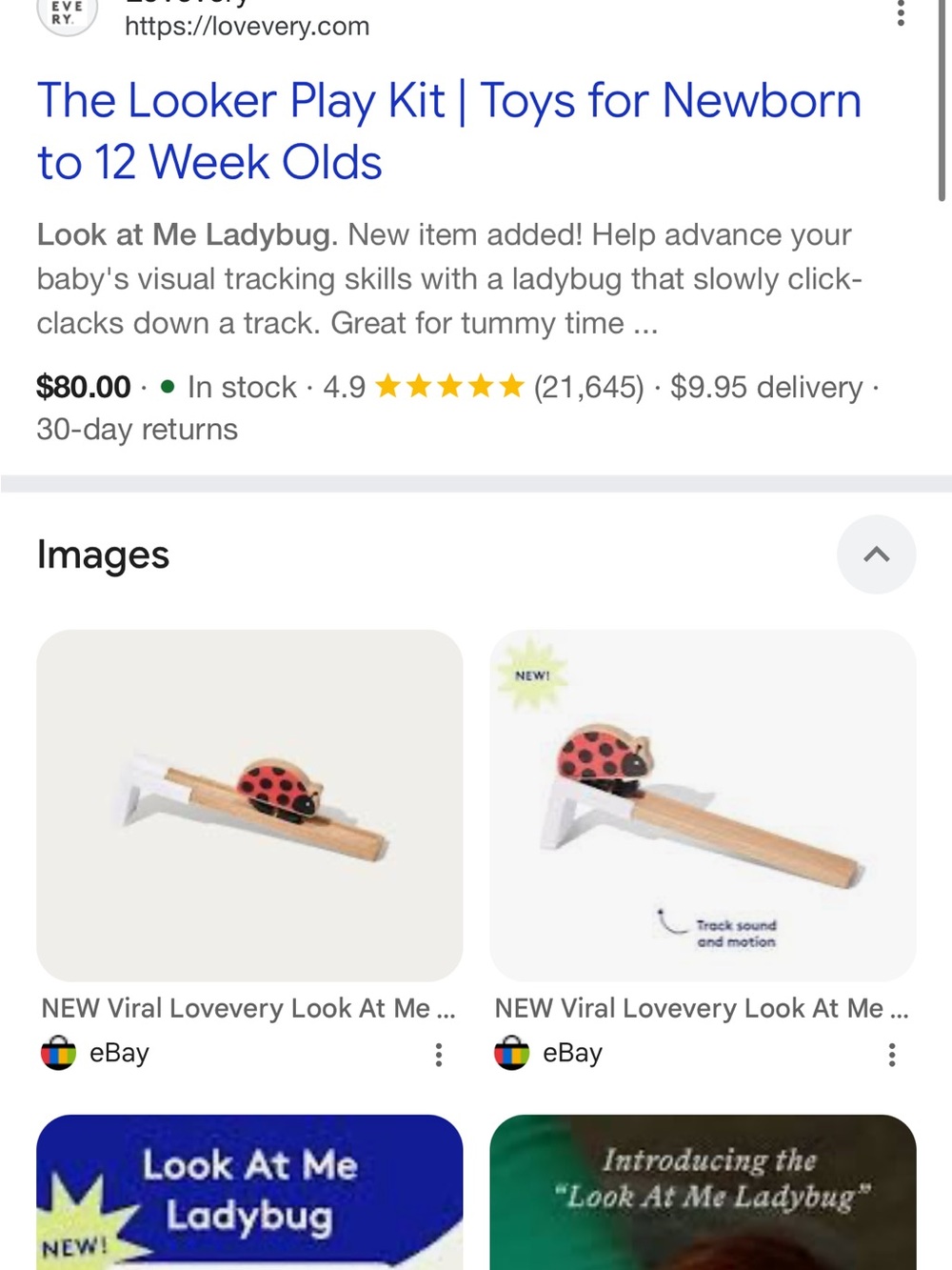 Lovevery Look At Me Ladybug Toy | The Looker Play Kit | 0–2 Months - Picture 4 of 4
